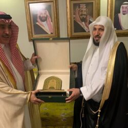 ” البيئة”: أكثر من 61.6 ألف طن الطاقة الإنتاجية للبيوت المحمية من محصول الخيار سنوياً