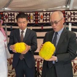 أسعار الذهب تتراجع بضغط من ارتفاع الدولار