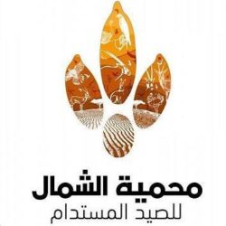 المركز الوطني للأرصاد: 83 ملم أعلى كمية أمطار سجلتها محافظة جدة اليوم