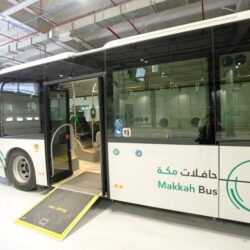 “اتحاد المصارعة” يختتم بطولتي الغربية والجنوبية للمصارعة الرومانية والحرة للبراعم