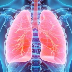 أمانة الطائف تزيل عشوائيات بسطات الخضار والفواكه بحوية الطائف