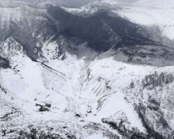 ماسك ينفي الاستغناء عن 80 % من موظفي «تويتر»