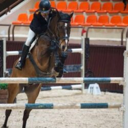 المجلس الصحي يوضح طرق الوقاية من عسر الهضم