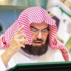 إسدال الستار على مهرجان الحمضيات السابع بالحريق بعد 11 يومًا حافلة بالزوار والمتسوقين والأثر الاقتصادي