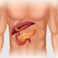 وظائف إدارية وهندسية شاغرة في التصنيع الوطنية
