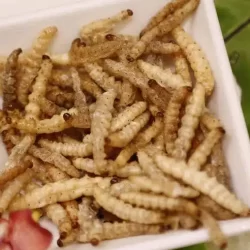 بتداولات 4.1 مليارات ريال .. مؤشر سوق الأسهم السعودية يغلق مرتفعًا