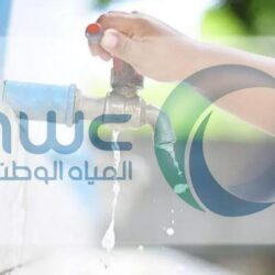 “صندوق الاستثمارات” يرفع حصته في شركة نينتندو اليابانية إلى 8.3%