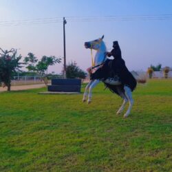 الحدود الشمالية‬ تكتسي بالغطاء النباتي في مشاهد استثنائية خلابة