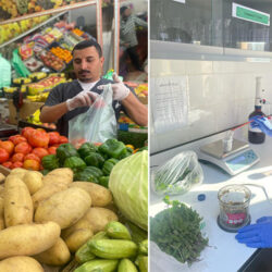 غداً .. انطلاق الصراع العربي في منافسات التايكوندو بالفجيرة