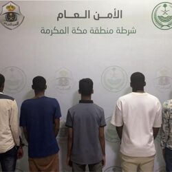 البيئة: مهلة لعودة إبل ومواشي الرعي المملوكة لغير السعوديين إلى دولهم