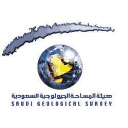 القبض على 4 أشخاص بحوزتهم 63,443 قرصًا من الإمفيتامين المخدر بالشرقية