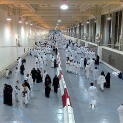 جامعة الباحة تواصل حضورها المتميز في مهرجان العسل الأول بمحافظة غامد الزناد