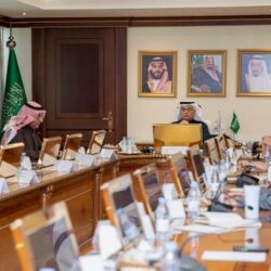 القوات البحرية تشارك في التمرين البحري المختلط «أمان 23» في باكستان