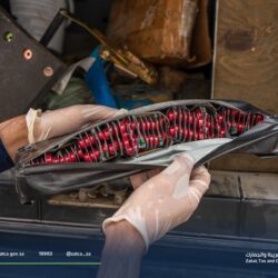 فريق “الصقور السعودية” يقدم عروضًا بمناسبة يوم التأسيس