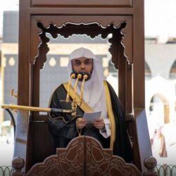 انطلاق دوري الفروسية 12 بجدة