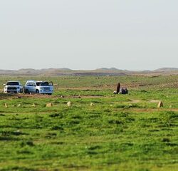 مربط مُهاب يتصدر شتاء ٢٠٢٣