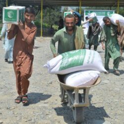 الحدود الشمالية‬ تكتسي بالغطاء النباتي في مشاهد استثنائية خلابة