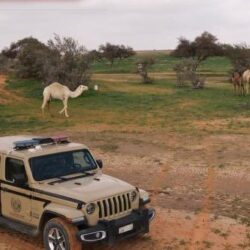 «الصحة العالمية»: سوريا بحاجة إلى مساعدات إنسانية ضخمة بعد الزلزال