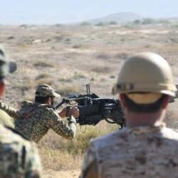 إحباط محاولات تهريب (21.3) طنًا من القات وأكثر من طن من مادة الحشيش المخدر