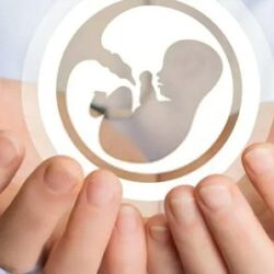 طالبة من تعليم جازان تحقق المركز الأول خليجيًا في مسابقة الفنون التشكيلية