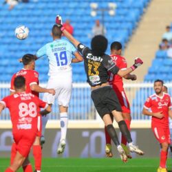 القوات الخاصة للأمن البيئي تضبط مخالفًا لنظام البيئة لحيازته كائنًا فطريًا مهددًا بالانقراض