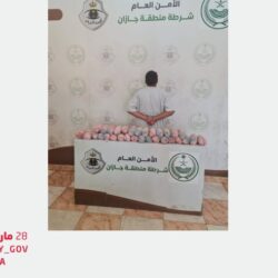 المملكة: اقتحام باحات الأقصى “سافر”.. ويقوض جهود “السلام”