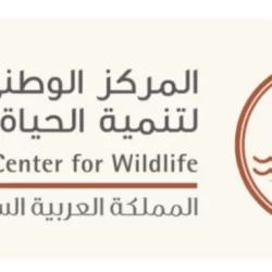 “التجارة”: استدعاء 1,458 مركبة (رام 1500/2500) لوجود خلل في قفل باب الصندوق