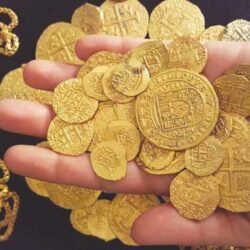 مضاد للأكسدة وبديل عن اللحوم.. تعرف على فوائد الفطر