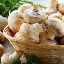 الدنمارك تسمح لصيادي الكنوز بالبحث عن آثارها المدفونة