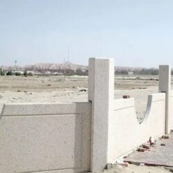 أسعار الذهب تواصل الصعود مع تراجع الدولار