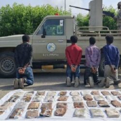 “التجارة”: جولات رقابية استباقية على منافذ البيع لمتابعة وفرة السلع والمنتجات الرمضانية