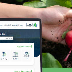 مشروع الأمير محمد بن سلمان لتطوير المساجد التاريخية يعيد الأصالة العمرانية لسقف مسجد الرويبة بالقصيم