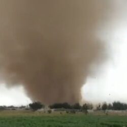 عبر مشروع “مسام” .. مركز الملك سلمان للإغاثة ينزع خلال أسبوع 880 لغماً في عدة محافظات يمنية