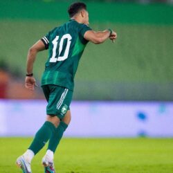 إحباط محاولات تهريب 35 طنًا و176 كيلو جرامًا من نبات القات المخدر