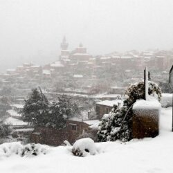 الباطن يفقد خدمات لاعبه الكولومبي أندريس روا لمدة 3 أسابيع