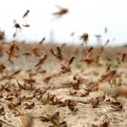 “المياه الوطنية”: 4 خطوات للتسجيل بخدمة “حساب الصهاريج”