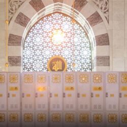 “حساب المواطن”: خطوتان لمعرفة المستندات المطلوبة لتغيير حالة “عدم الأهلية”