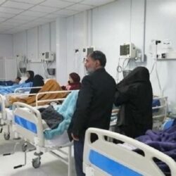 بدء الإلزام بتطبيق “وثيقة النقل” الإلكترونية لجميع الناقلين في نشاط نقل البضائع على الطرق البرية