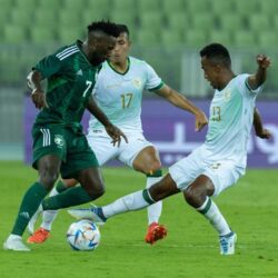 رسميا.. المدرب الفرنسي رينارد يفسخ عقده مع المنتخب السعودي