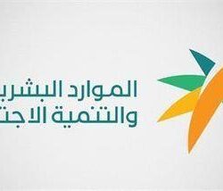 تراجع أسعار القمح الروسي واتجاه تنازلي للأسعار العالمية