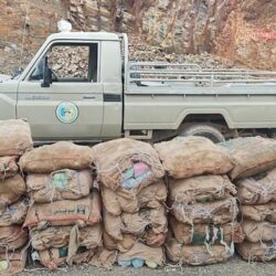 الجوف: القبض على مقيم لنقله مقيمة متغيبة عن العمل ومحاولته رشوة رجل أمن