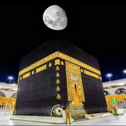 القبض على 3 أشخاص بحوزتهم (57) كيلو جرامًا من نبات القات المخدر بجازان