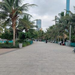 إحباط محاولة تهريب أكثر من 2 مليون حبة كبتاجون مُخبأة في إرسالية “طماطم ورمان”