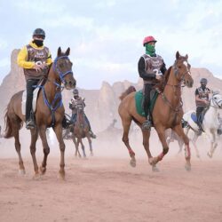 مغادرة الطائرة الإغاثية السعودية الثالثة تحمل 30 طنًا من مساعدات المملكة للشعب الأوكراني