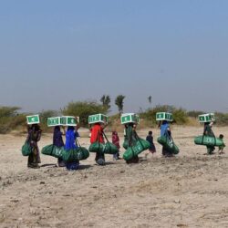 المرور: طرح لوحات لأول مرة في المزاد الإلكتروني قريبًا