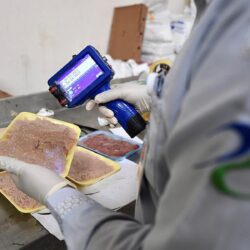 المملكة: اقتحام باحات الأقصى “سافر”.. ويقوض جهود “السلام”