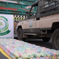 12 ألف كادر و200 ألف ساعة تطوعية لخدمة قاصدي المسجد الحرام في شهر رمضان