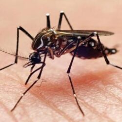 تعويم سفينة حاويات جنحت خلال عبورها قناة السويس