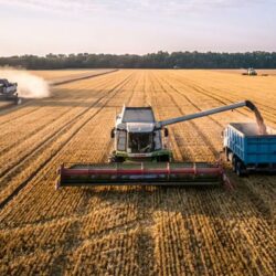 السلطان يشكر القيادة على تعيينه وزير دولة وعضواً بمجلس الوزراء