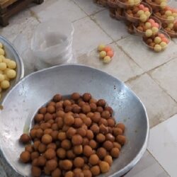 وزير البيئة والمياه والزراعة يرأس اجتماع مجلس إدارة صندوق البيئة